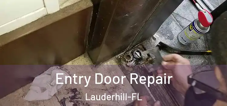  Entry Door Repair Lauderhill-FL