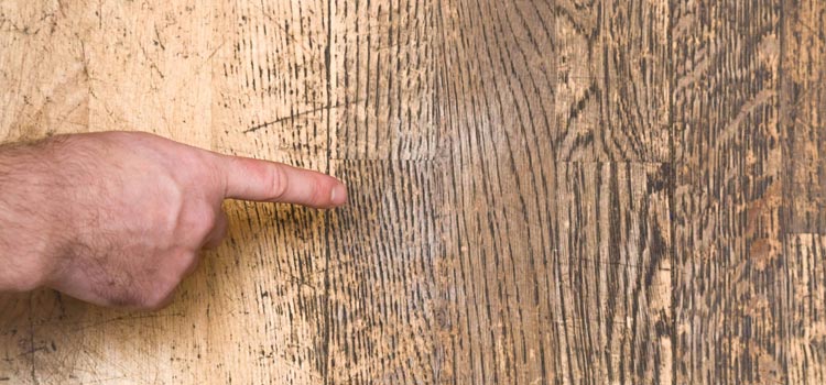 Wood Door Scratch Repair in Lauderhill